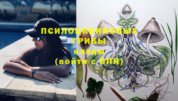 стаф Семикаракорск