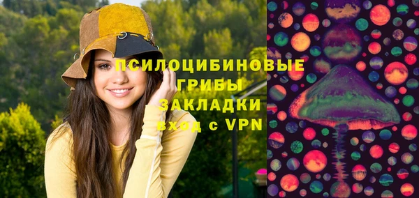 гашик Беломорск
