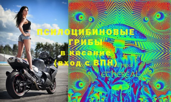 гашик Беломорск