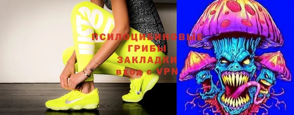 спайс Белокуриха