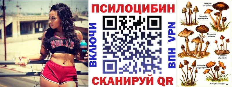 Псилоцибиновые грибы GOLDEN TEACHER  где купить   Острогожск 